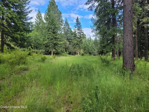 Nka S Skyview Rd, Harrison, ID 83833 photo 26