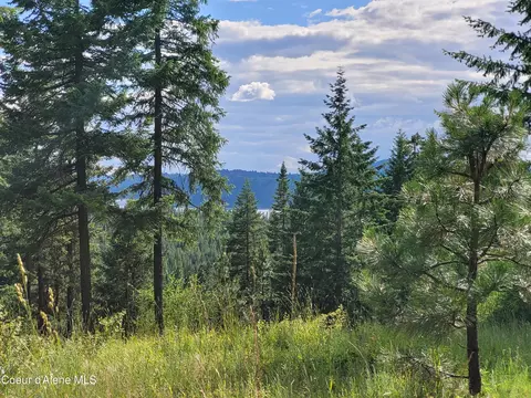 Nka S Skyview Rd, Harrison, ID 83833 photo 4