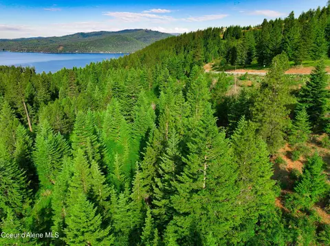 Nka 1b S Skyview Rd, Harrison, ID 83833 photo 18