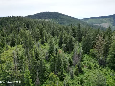 Nka Initial Peak Rd, Cataldo, ID 83810