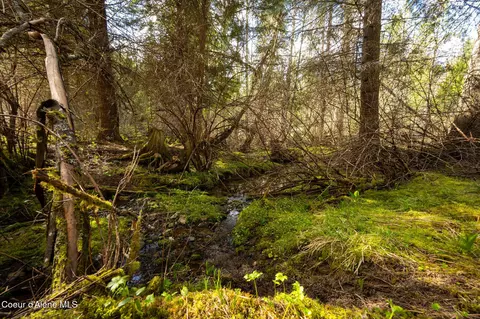 Nka Evans Creek Rd, Medimont, ID 83842