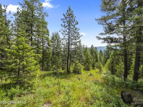 685 Blanchard Elk Rd, Blanchard, ID 83804