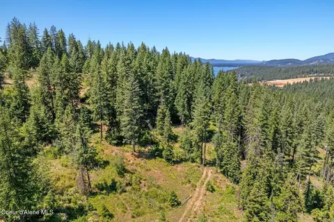 Other - 4456 Eagles Mere Rd, Harrison, ID 83833 photo 13 of 13