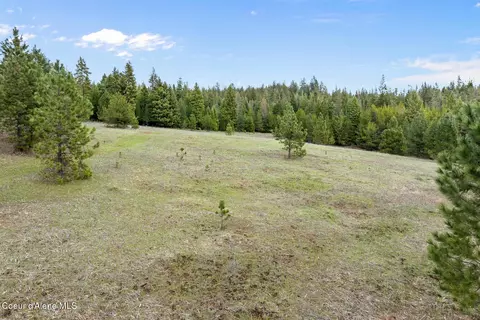 Nna Mesa Dr, Athol, ID 83801 photo 8