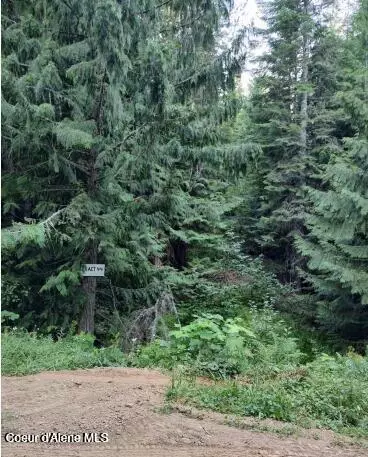 317 E Ridge Rd, Saint Maries, ID 83861