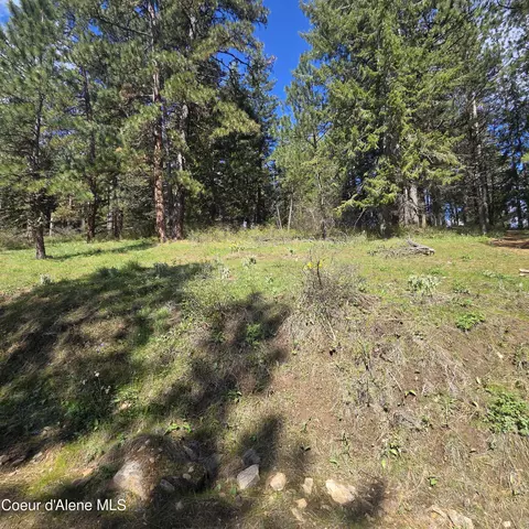 Nka Iron Mountain Ln, De Smet, ID 83824