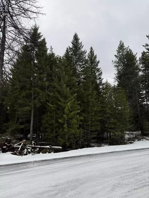 Nka Van Buren St., Spirit Lake, ID 83869