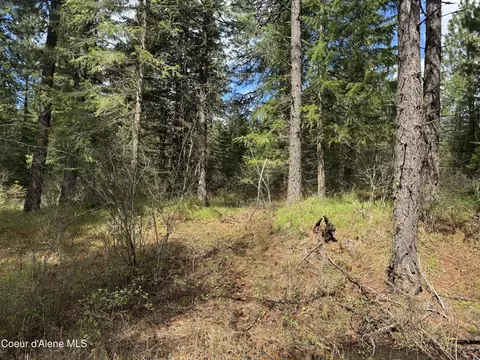Nka Old Railroad Grade, Plummer, ID 83851 photo 6