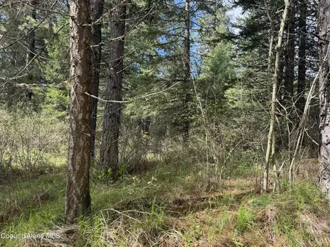 Nka Old Railroad Grade, Plummer, ID 83851 photo 5
