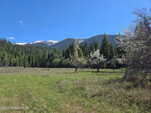 8 Dead Horse Ln, Heron, MT 59844
