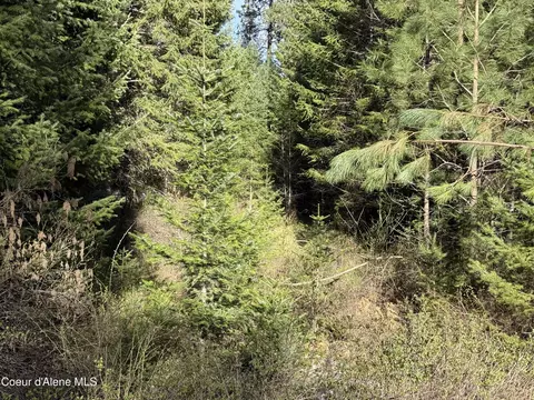 Nna Half Round Bay Rd, Harrison, ID 83833 photo 5
