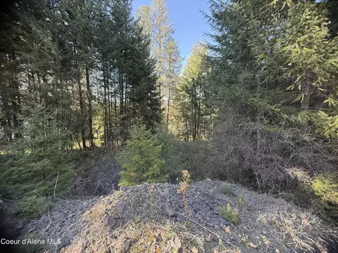 Nna Half Round Bay Rd, Harrison, ID 83833 photo 6
