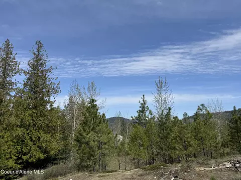 963 Irish Rd, Sagle, ID 83860 photo 30
