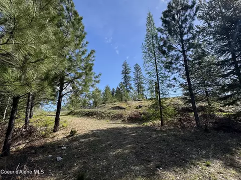 963 Irish Rd, Sagle, ID 83860 photo 18