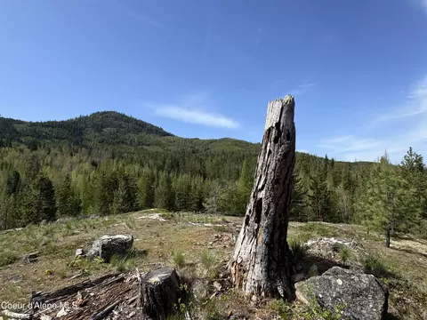 963 Irish Rd, Sagle, ID 83860 photo 34
