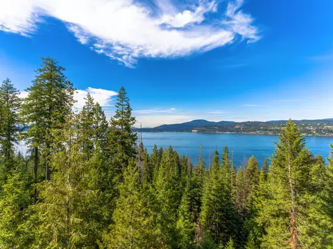 5103 S Jackleg Trl, Harrison, ID 83833