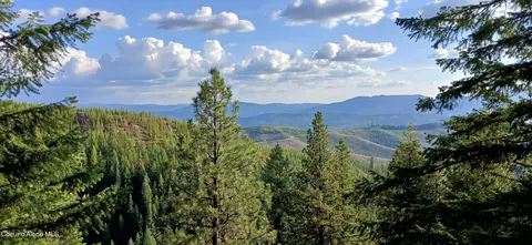 1425 Upriver View Dr, Fernwood, ID 83830