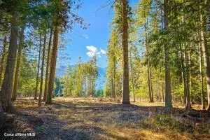 Nka Frontage Rd, Clark Fork, ID 83811 photo 3