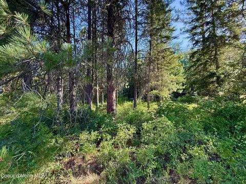 869 Eagle Ridge Ln, Kingston, ID 83839 photo 29