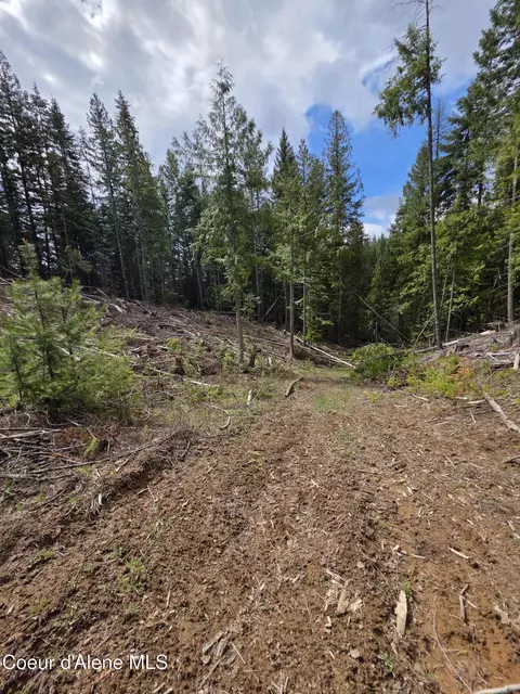 Nna Cabin Loop Road, Saint Maries, ID 83861