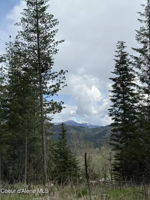 Nka St..maries River Rd Lot #5, Saint Maries, ID 83861
