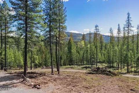 Other - 85 Cutlass Dr, Sagle, ID 83860 photo 3 of 17
