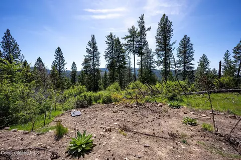 L11 B3 Hanson Rd, Harrison, ID 83833 photo 17