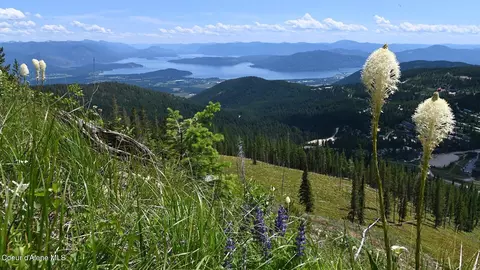 View/Area - 226 Mogul Hill Rd Building 3 Rd #1, Sandpoint, ID 83864 photo 1 of 5