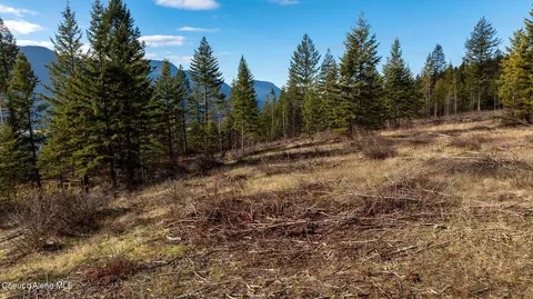 773 Cougar Loop, Clark Fork, ID 83811 photo 7