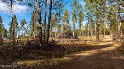773 Cougar Loop, Clark Fork, ID 83811