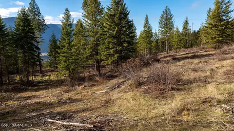 773 Cougar Loop, Clark Fork, ID 83811 photo 3
