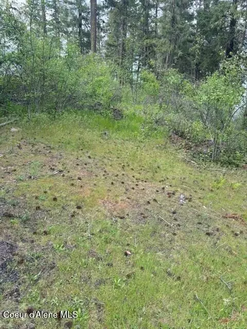 Exterior - 3671 E Bridgeview Dr, Harrison, ID 83833 photo 3 of 7