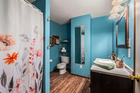 Bath - 883 Mountain View Rd, Clark Fork, ID 83811 photo 3 of 5