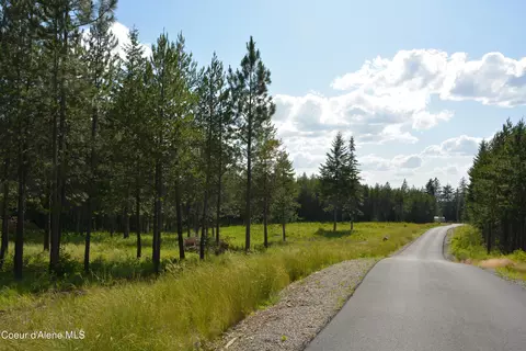 Nka N Sylvan Rd, Athol, ID 83801