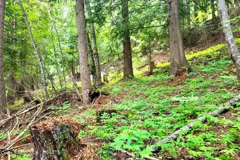 Nna Lower Pack River Rd, Sandpoint, ID 83864 photo 5