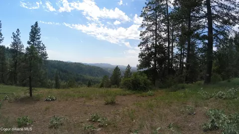 Nna Alamo Rd, Harrison, ID 83833 photo 19