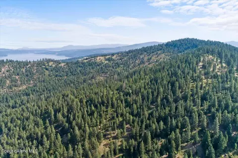 Nna Alamo Rd, Harrison, ID 83833 photo 14