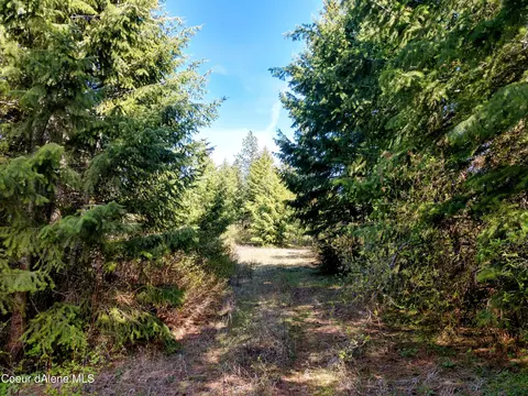 Nna Alamo Rd, Harrison, ID 83833 photo 23