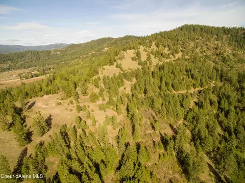 Nna Alamo Rd, Harrison, ID 83833 photo 41