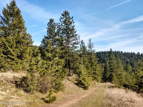 Nna Alamo Rd, Harrison, ID 83833 photo 34
