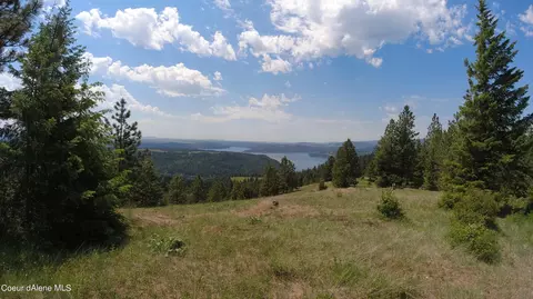 Nna Alamo Rd, Harrison, ID 83833 photo 29