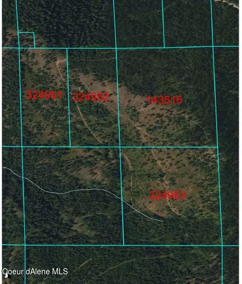 Nna Alamo Rd, Harrison, ID 83833 photo 43