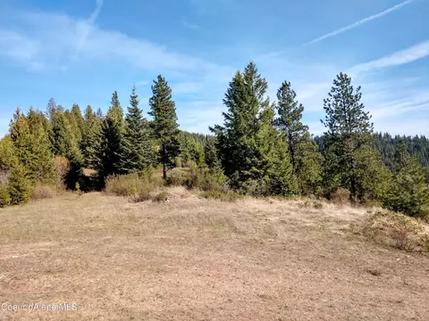 Nna Alamo Rd, Harrison, ID 83833 photo 35