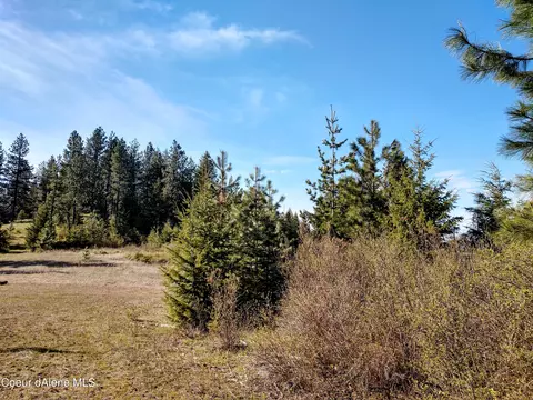 Nna Alamo Rd, Harrison, ID 83833 photo 24