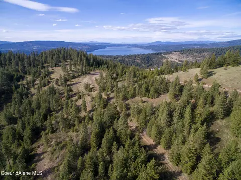 Nna Alamo Rd, Harrison, ID 83833 photo 17