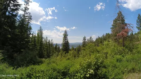 Nna Alamo Rd, Harrison, ID 83833 photo 30