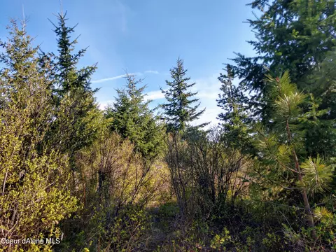 Nna Alamo Rd, Harrison, ID 83833 photo 38