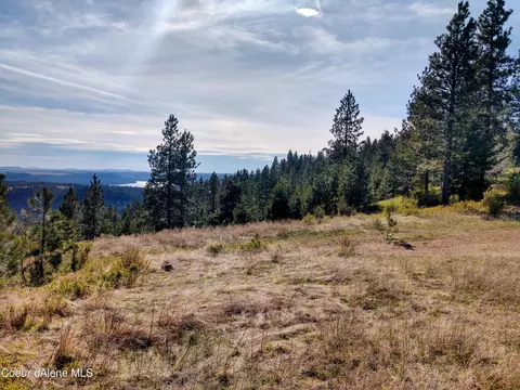 Nna Alamo Rd, Harrison, ID 83833 photo 37