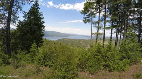Nna Alamo Rd, Harrison, ID 83833 photo 4