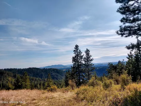 Nna Alamo Rd, Harrison, ID 83833 photo 32